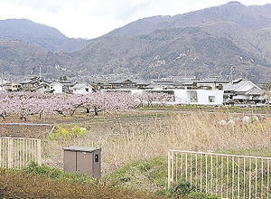 南長野歯科医院 入口へ続く細道